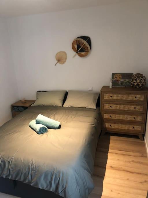 Appartement Cosy-Grand Stade Villeneuve D'Ascq Lezennes Exterior photo